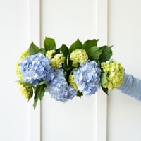 With Heart: Love Thy Neighbor Hydrangeas view 5