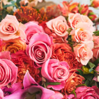 Hand Tied Bouquet - Fancy Pants Size! view 9