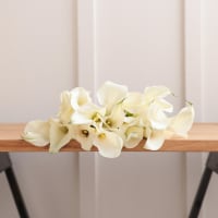 White Callas view 6