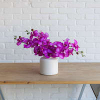Back to the Fuchsia view 3