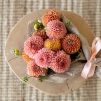 Market Box Dahlias - Soft Palette view 1
