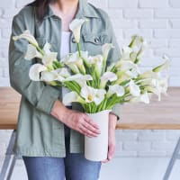 More White Callas view 5