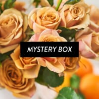 Mystery Box: Garden Roses! view 1