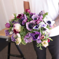 Specialty Field Trial Anemones: Cool Palette x 2! view 1