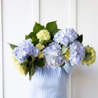 With Heart: Love Thy Neighbor Hydrangeas view 1