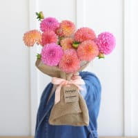 Market Box Dahlias - Soft Palette view 5