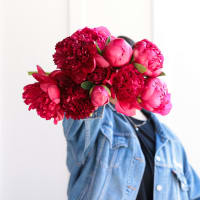 Red-Handed: 10 Peonies view 3
