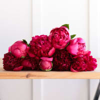 Red-Handed: 10 Peonies view 7