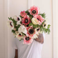 Specialty Field Trial Anemones: Warm Palette view 1