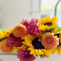 Harvest Swoon view 4