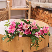 Scents and Sensibility view 8