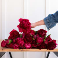 Red-Handed: 30 Peonies view 5