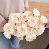Christina's Wedding Roses x 2! view 1