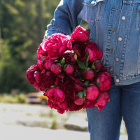 Red-Handed: 30 Peonies view 4