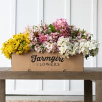 Big Box: Alstroemeria view 1