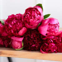 Red-Handed: 10 Peonies view 9