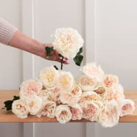 Christina's Wedding Roses x 2! view 2