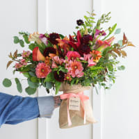 Autumn Joy view 4