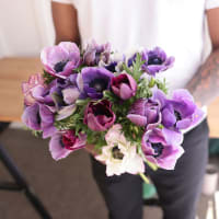 Specialty Field Trial Anemones: Cool Palette view 1