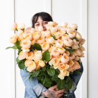 Big Box: Juliet Garden Roses view 1