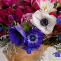 More the Merrier - Big Love Size! view 7