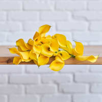 Yellow Callas view 4