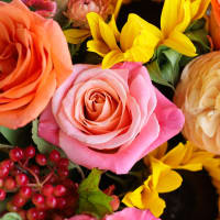 Suns and Roses - Big Love Size! view 5