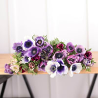 Specialty Field Trial Anemones: Cool Palette x 2! view 4