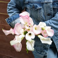 White Callas view 8
