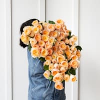 Big Box: Juliet Garden Roses view 5