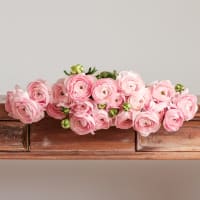 Christina's Favorite Specialty Ranunculus! view 2