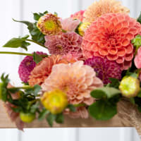 Market Box Dahlias - Soft Palette view 4