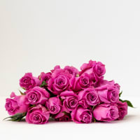 Mystery Box: Garden Roses x 2! view 8