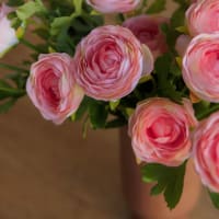 Peach of Mind view 5