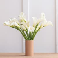 White Callas view 5