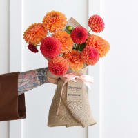 Market Box Dahlias - Saturated Palette view 10