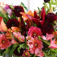 Autumn Joy view 8