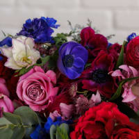 More the Merrier - Big Love Size! view 10