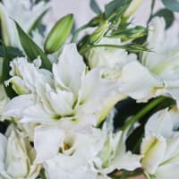 The Hand-Tied Minimalist Bouquet view 7