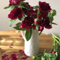 Red-Handed: 10 Peonies view 5
