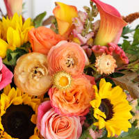 Suns and Roses - Big Love Size! view 3