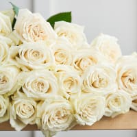 Blanc de Blanc view 2