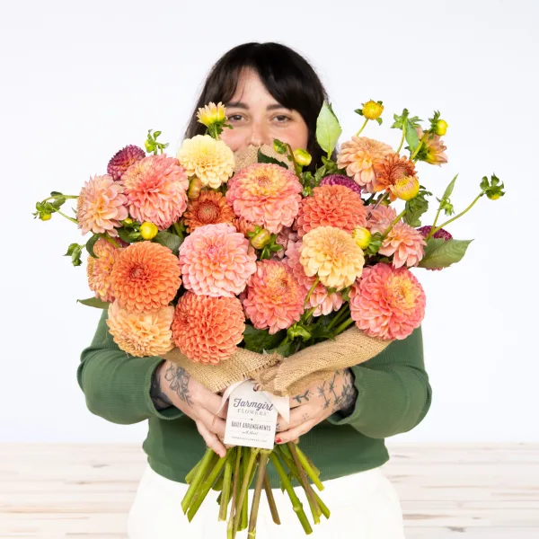 Market Haul Dahlias - Soft Palette