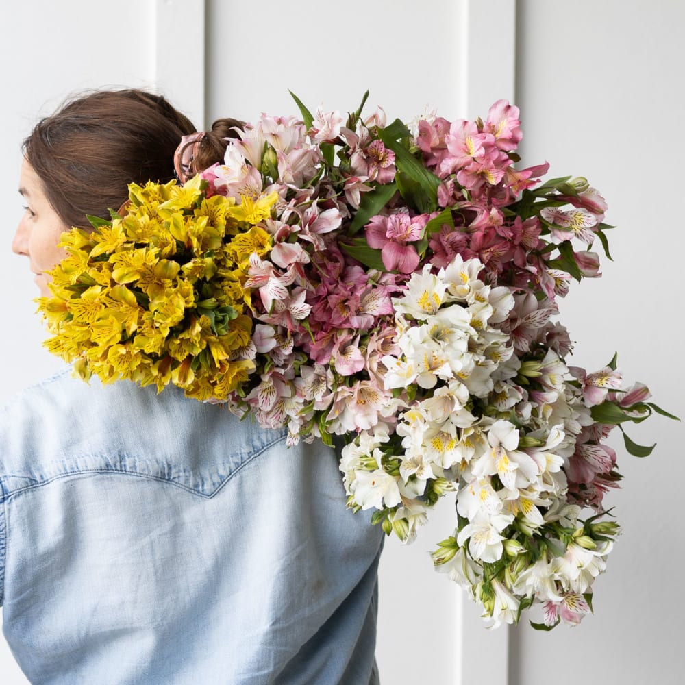 Big Box: Alstroemeria view 2 of 7