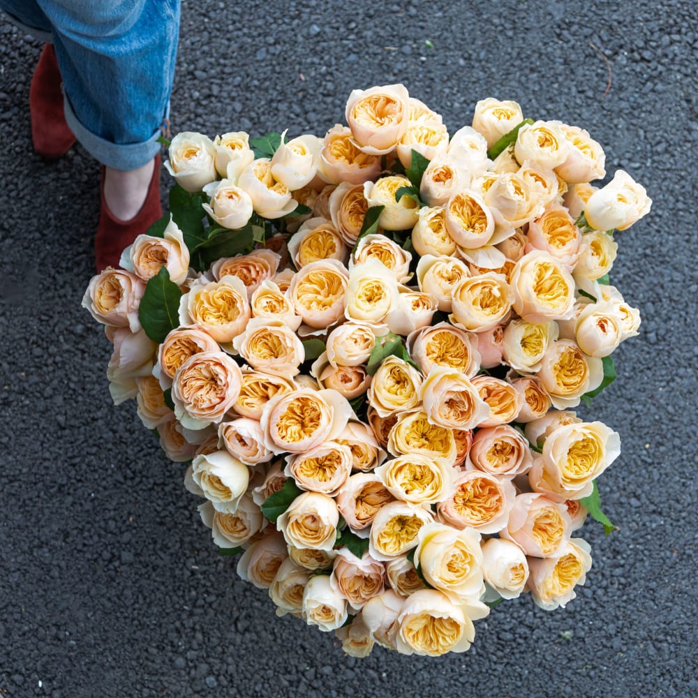 Big Box: Juliet Garden Roses view 4 of 9