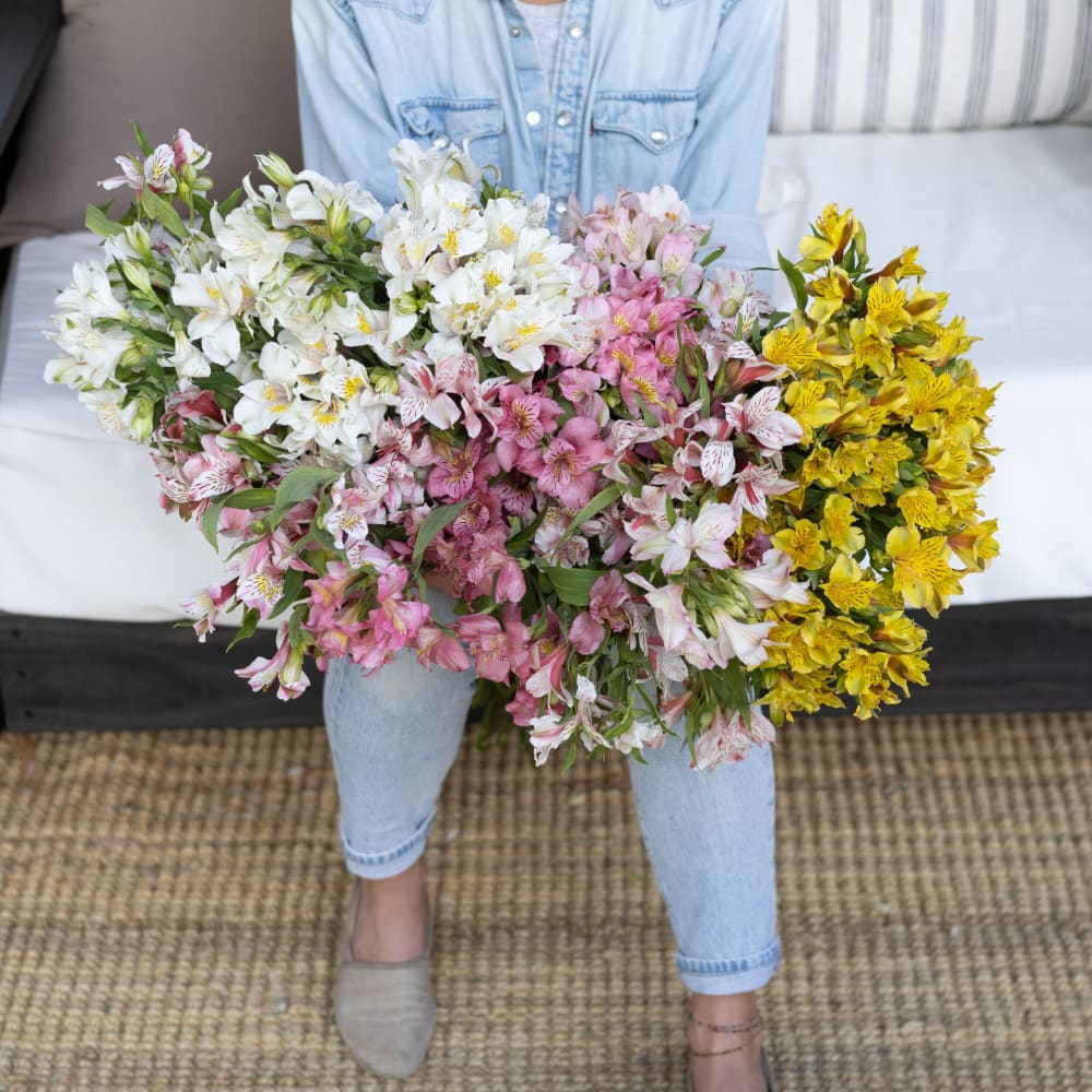 Big Box: Alstroemeria view 3 of 7