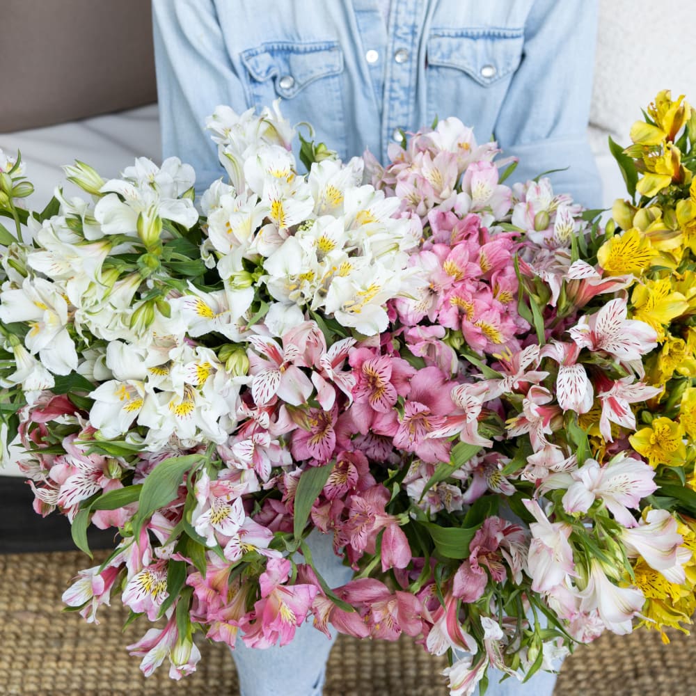 Big Box: Alstroemeria view 7 of 7