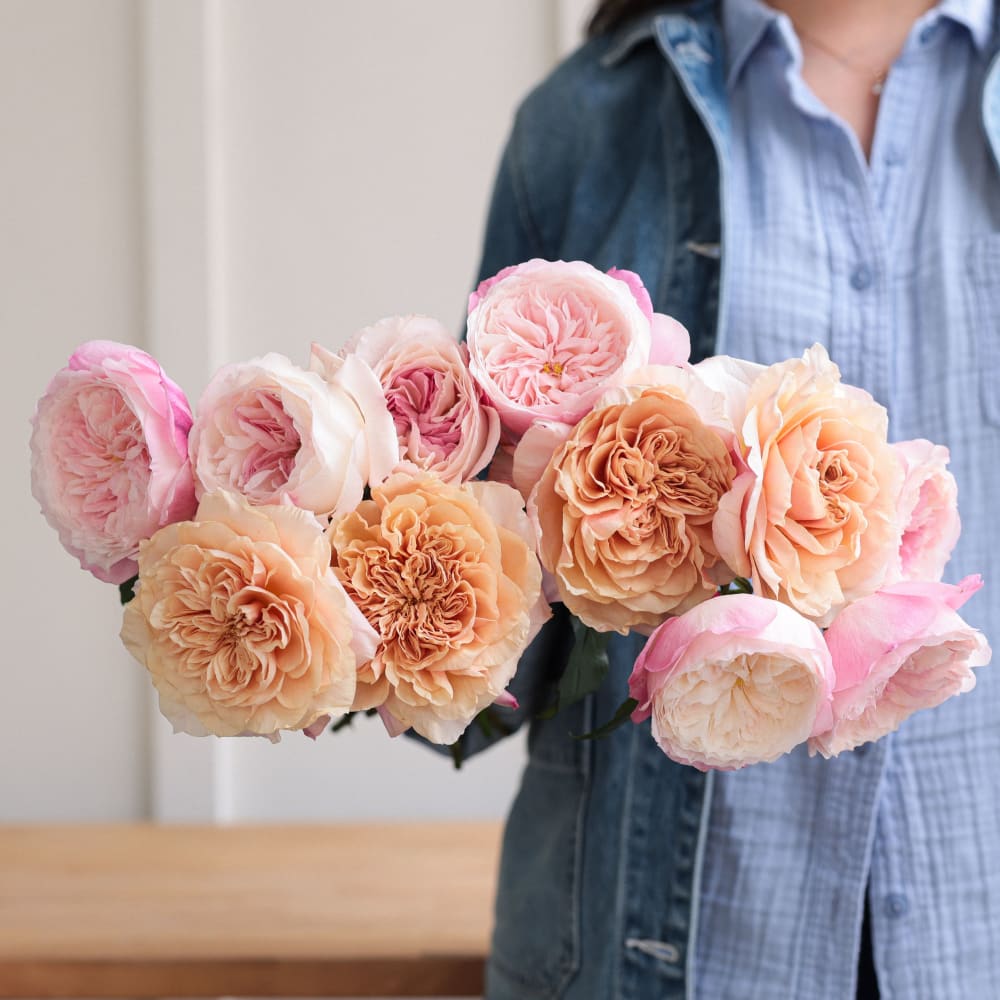 I Can't Believe They Aren't Peonies! view 8 of 10