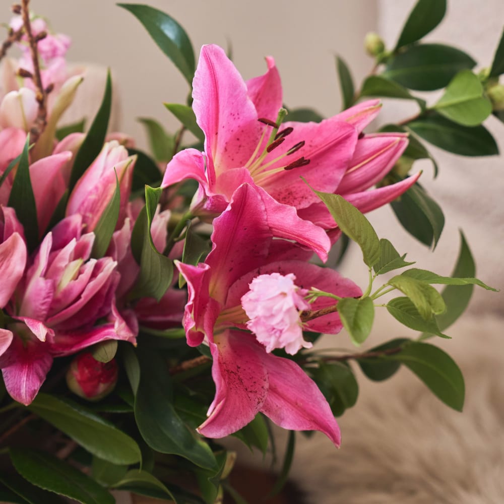 Scents and Sensibility view 9 of 10
