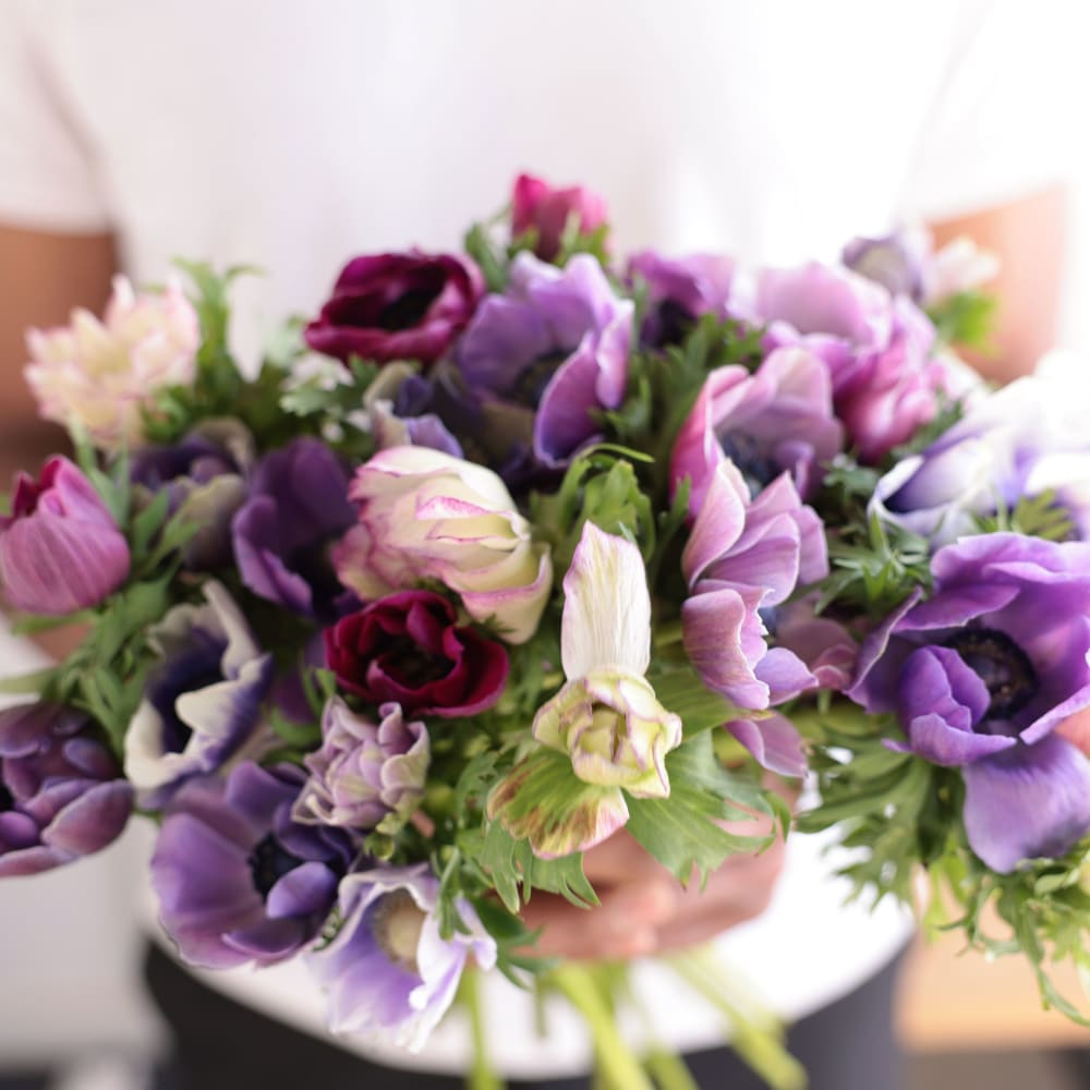 Specialty Field Trial Anemones: Cool Palette x 2! view 8 of 10